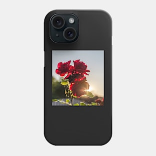 Red roses against summer evening sun Phone Case