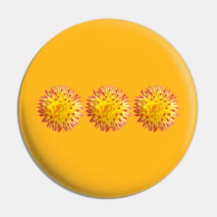 Three Yellow and Pink Spiky Flowers Floral Photo Pin