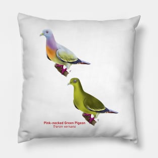 Pink-necked Green Pigeon | Treron vernans ⚥ Pillow