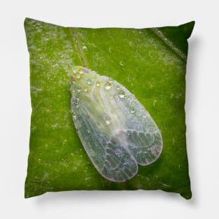 Unique and organic photo of a dew-covered planthopper Pillow