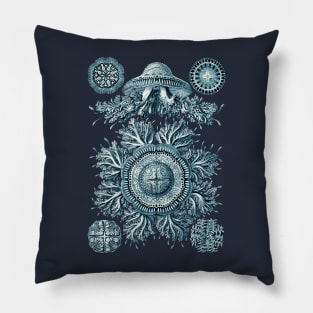 Ernst Haeckel Discomedusae Jellyfish Plate 28 Cerulean Pillow