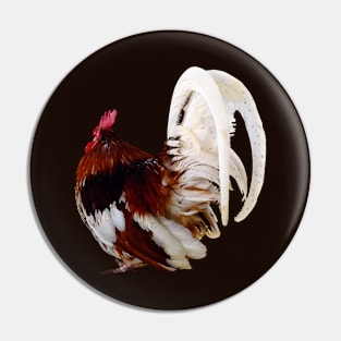 Red Rooster With White Tail Feathers Pin