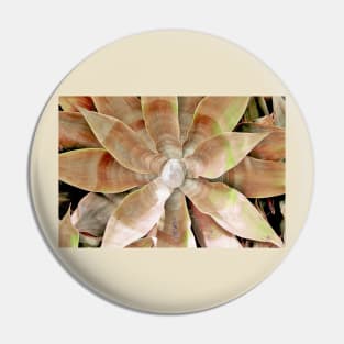 Agave Plant Pin