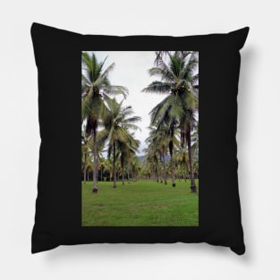 Coconut grove at Thala Beach nature reserve, Queensland Pillow