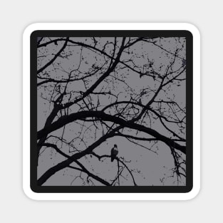 Halloween in black and gray; hawk raven vulture crow Magnet