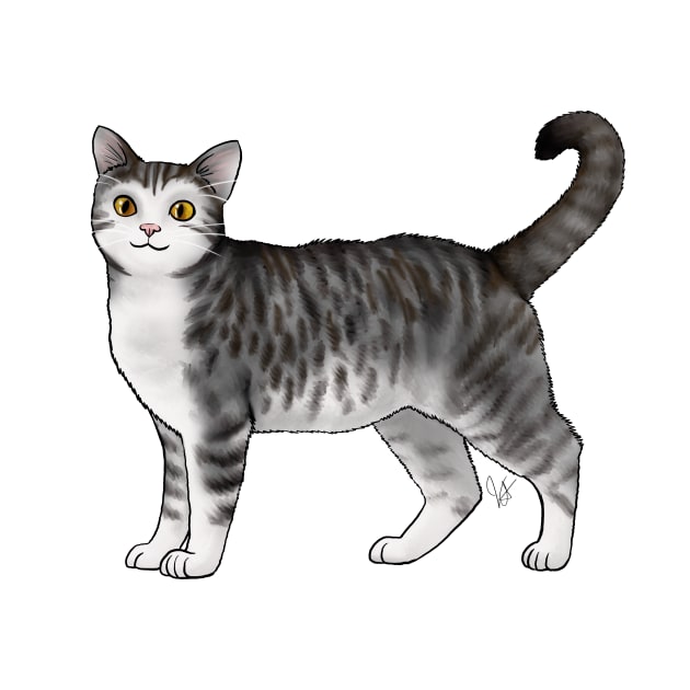 Cat - American Wirehair - White and Black Tabby by Jen's Dogs Custom Gifts and Designs