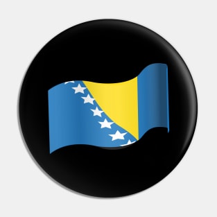 Bosnia and Herzegovina Pin