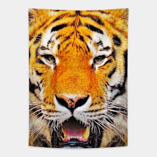 Tiger Orange Tee Tapestry