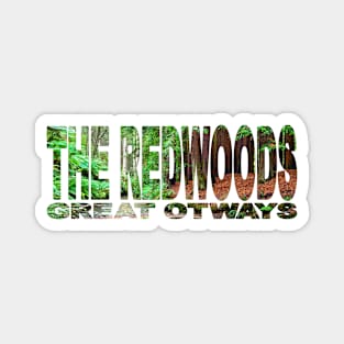 THE REDWOODS - Great Otway NP - Victoria Australia Magnet