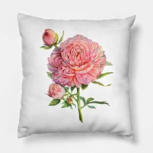 Peonies Pillow