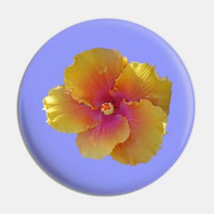 Pretty Yellow Orange Hibiscus Pin