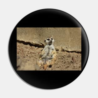 Chilling Meerkat Pin