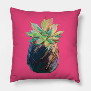 Indoor cactus plant Pillow