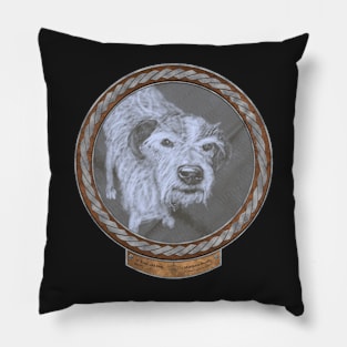 17 Year Old Dog (frame silver celtic rope silver rim) Pillow