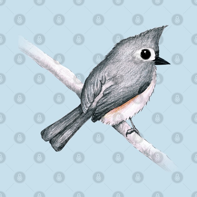 Tufted titmouse by Bwiselizzy