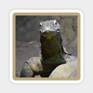 Komodo Dragon Magnet