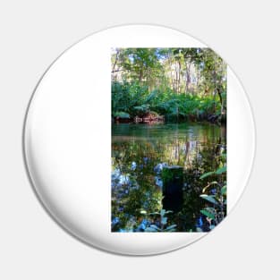 celestun ria wetland ecopark ecopop landscape photo in yucatan eye of the water green park Pin