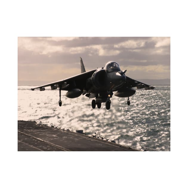 Harrier landing by captureasecond