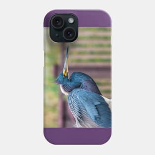 Beauty Of A Tricolored Heron Phone Case