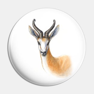 Springbok - African antelope - by Nadya Neklioudova Pin