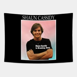 Shaun Cassidy Black Tapestry