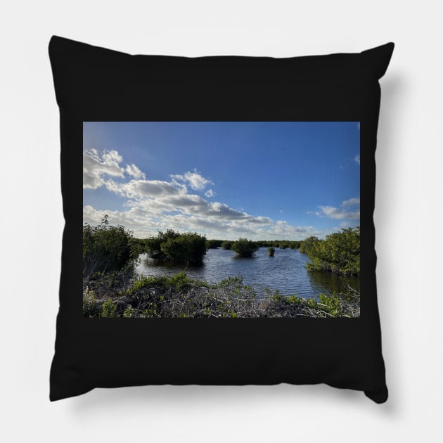 Florida Everglades Pillow by Sparkleweather