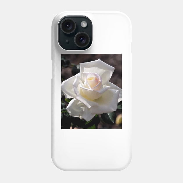 White Rose Bloom Phone Case by KirtTisdale