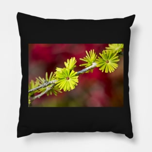 Lime green Larch leaves Pillow