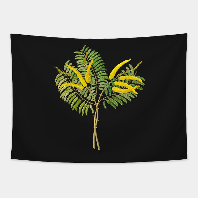 Acacia caffra - botanical illustration Tapestry by chimakingthings