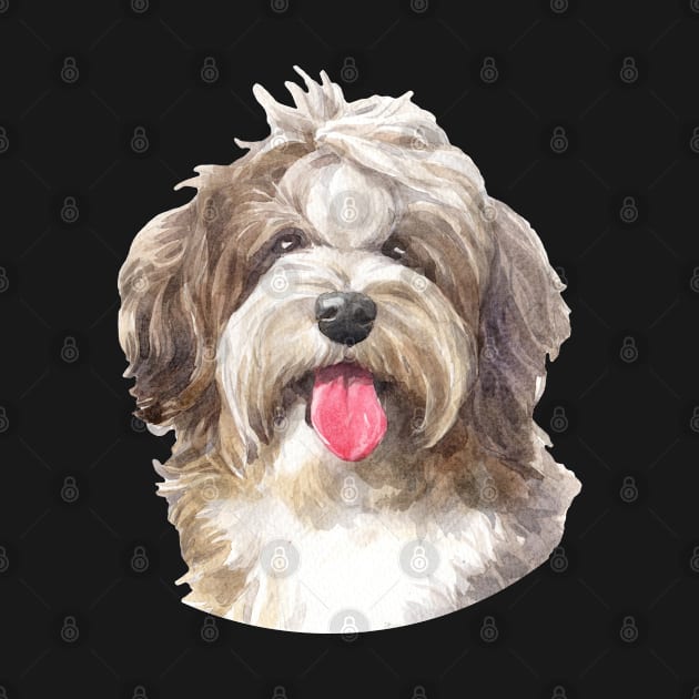 Chocolate Havanese Watercolor Art by doglovershirts