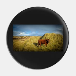 Dune Grazing Pin