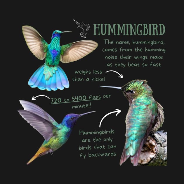 Animal facts - Hummingbird by Animal Facts and Trivias