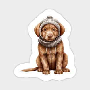 Winter Chesapeake Bay Retriever Dog Magnet