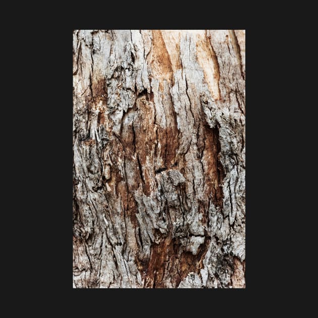 Rustic Orange & Brown Tree Trunk - Alternative by textural