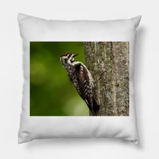 Yellow-bellied Sapsucker Pillow