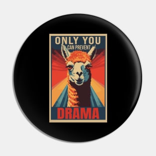 Only You Can Prevent Drama Graphic Pin