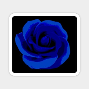 blue rose Magnet