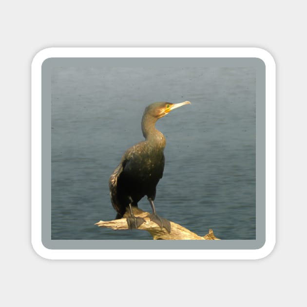 Cormorant Magnet by Guardi