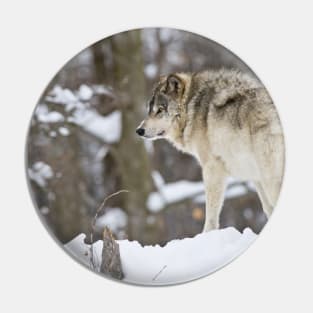 Grey Wolf Pin