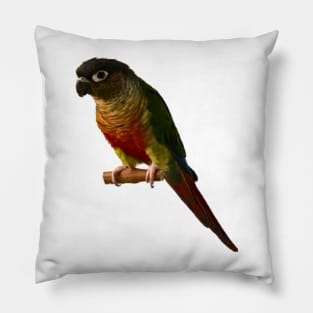 Green Cheek Conure Parrot Bird design, Love for birds Pillow