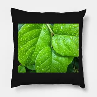 Greening of the World Pillow