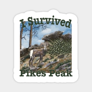 I Survived Pikes Peak, Bighorn Sheep Magnet