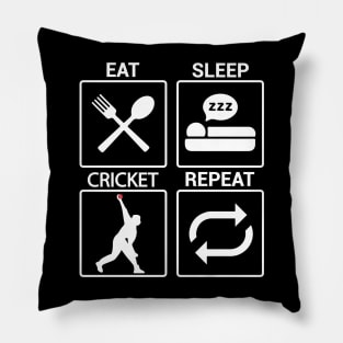 Cricket Evolution Bowler Batsman Player Fans Pillow