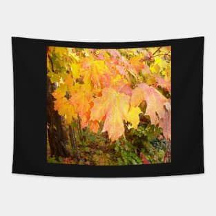 leaves in autumn Tapestry