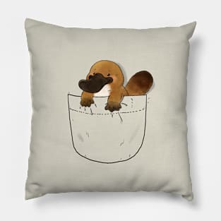 Platypus in a Pocket Pillow