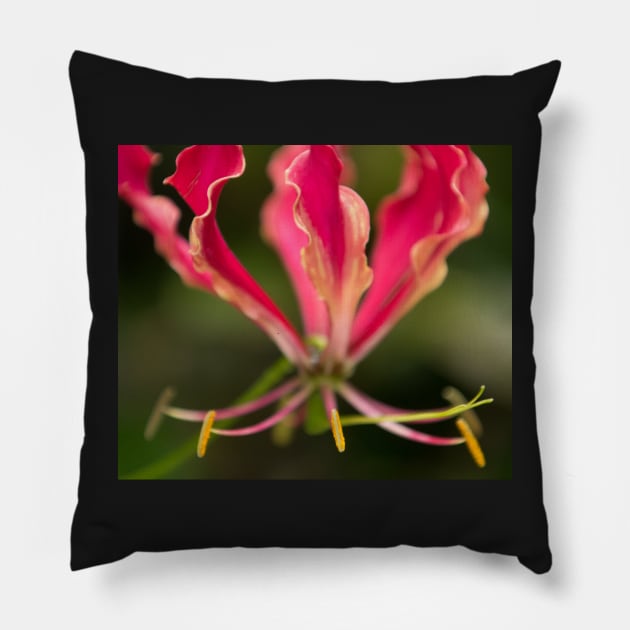 Macro Flower Pillow by StevenElliot