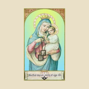 Our Lady of Mt. Carmel, a tender image T-Shirt