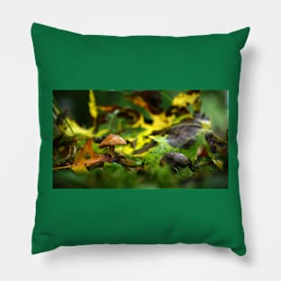 Tiny Brown Mushroom Among Fallen Leaves Pillow