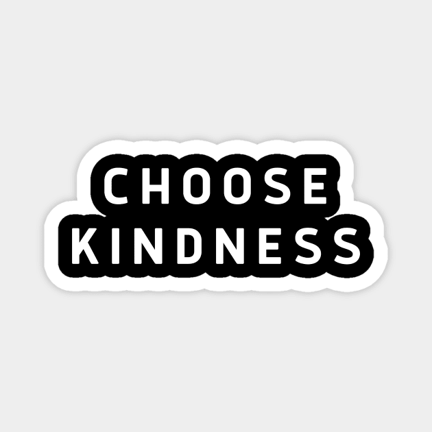 Choose Kindness - Invisible Disabilities Magnet by Garbled Life Co.