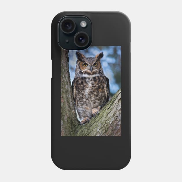 Great Horned Owl Phone Case by dalekincaid